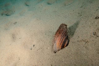 「無題」のサムネイル画像