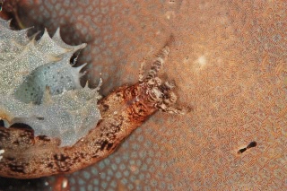 「無題」のサムネイル画像