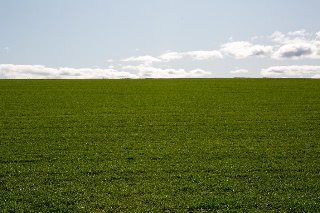 「無題」のサムネイル画像