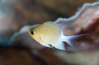 「無題」のサムネイル画像