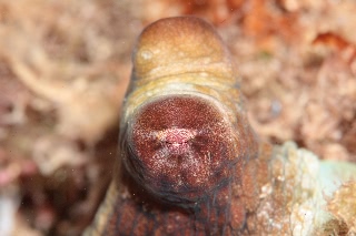 「うぁ 眩しっ」のサムネイル画像