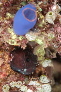 「無題」のサムネイル画像