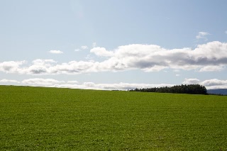 「無題」のサムネイル画像