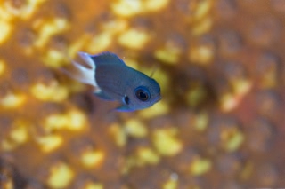 「無題」のサムネイル画像