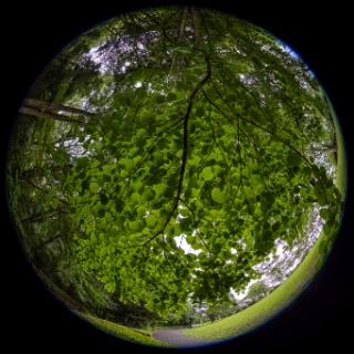 「無題」のサムネイル画像