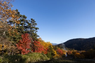 「無題」のサムネイル画像