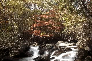 「無題」のサムネイル画像