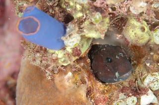 「無題」のサムネイル画像