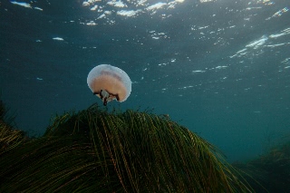「無題」のサムネイル画像