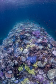 「無題」のサムネイル画像
