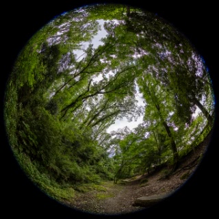 「無題」のサムネイル画像