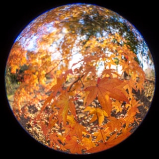 「無題」のサムネイル画像