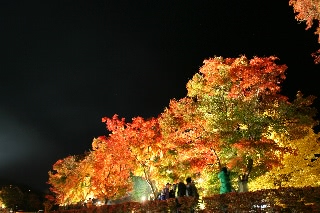 「紅葉祭り」のサムネイル画像