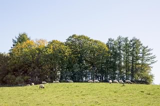 「無題」のサムネイル画像