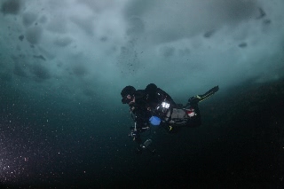 「無題」のサムネイル画像