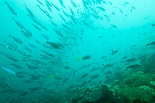 「無題」のサムネイル画像