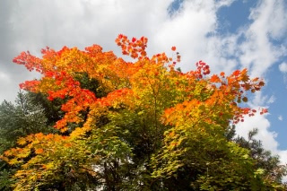 「無題」のサムネイル画像