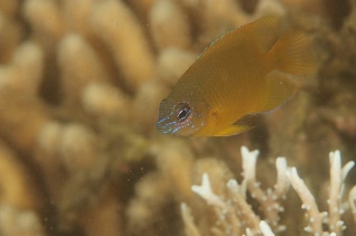 「無題」のサムネイル画像