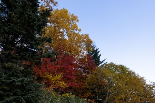 「無題」のサムネイル画像