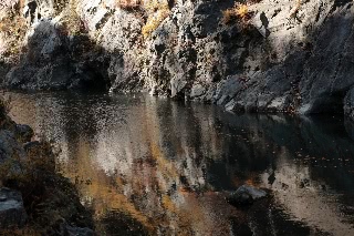 「無題」のサムネイル画像