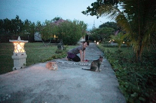 「無題」のサムネイル画像