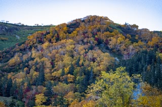 「無題」のサムネイル画像