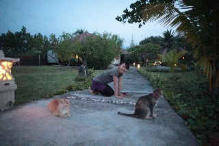 「無題」のサムネイル画像