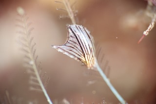 「無題」のサムネイル画像