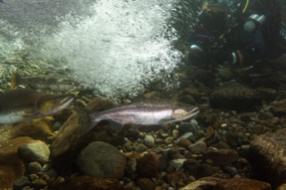 「無題」のサムネイル画像