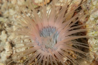 「無題」のサムネイル画像