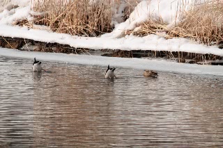 「無題」のサムネイル画像