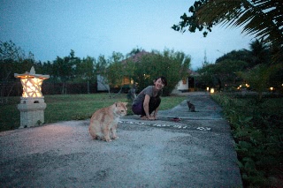 「無題」のサムネイル画像