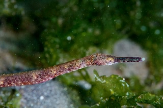 「無題」のサムネイル画像