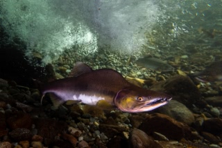 「無題」のサムネイル画像