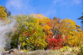 「無題」のサムネイル画像