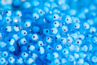 「ベロ」のサムネイル画像