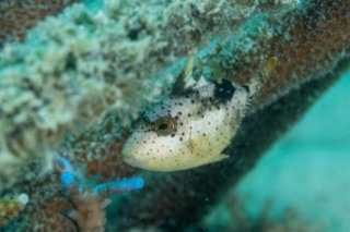 「無題」のサムネイル画像