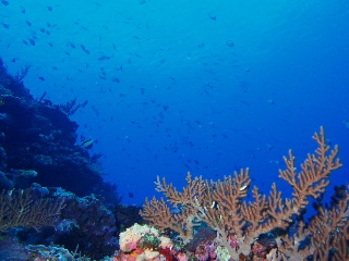 「無題」のサムネイル画像