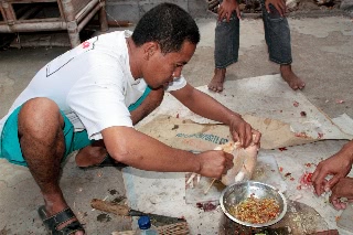 「無題」のサムネイル画像