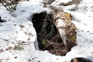 「みどろ沼」のサムネイル画像