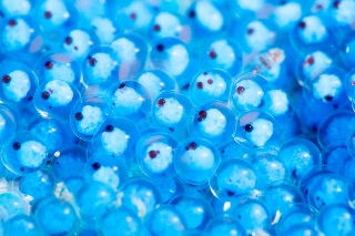 「ベロ」のサムネイル画像