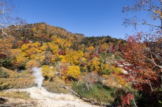 「無題」のサムネイル画像