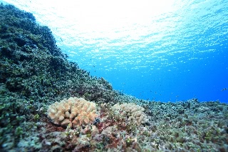 「無題」のサムネイル画像