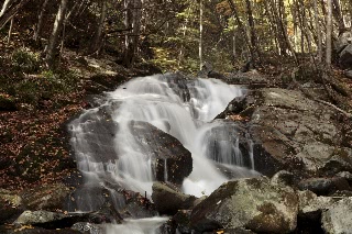 「荒神の滝」のサムネイル画像