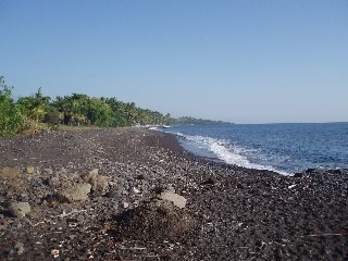 「エントリポイント」のサムネイル画像