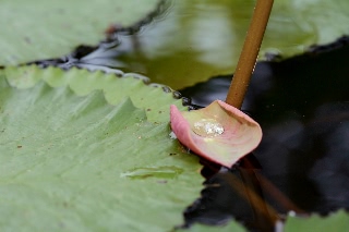 「無題」のサムネイル画像