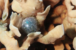 「無題」のサムネイル画像