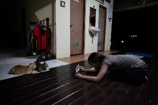 「無題」のサムネイル画像