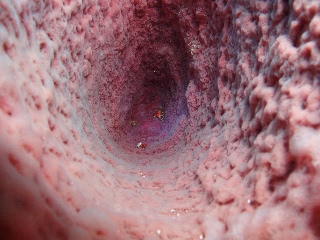 「水中洞窟（嘘」のサムネイル画像