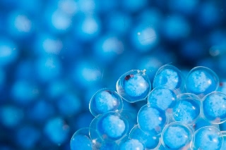 「ベロ」のサムネイル画像